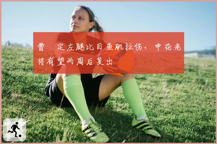 曹赟定左腿比目鱼肌拉伤，申花老将有望两周后复出