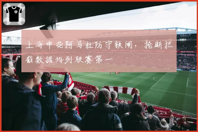 上海申花阿马杜防守铁闸,抢断拦截数据均列联赛第一