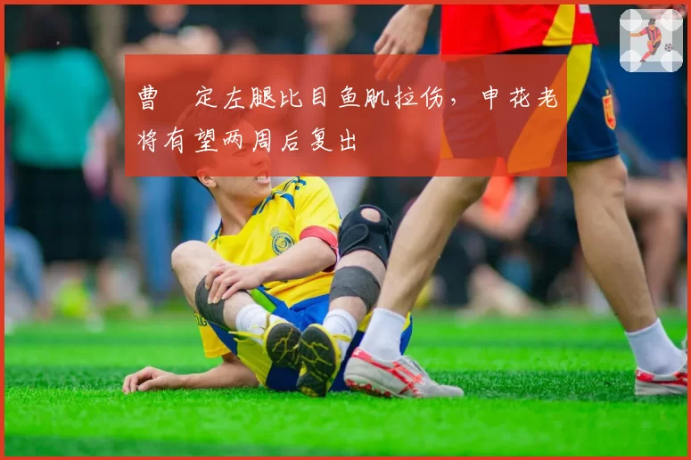曹赟定左腿比目鱼肌拉伤，申花老将有望两周后复出